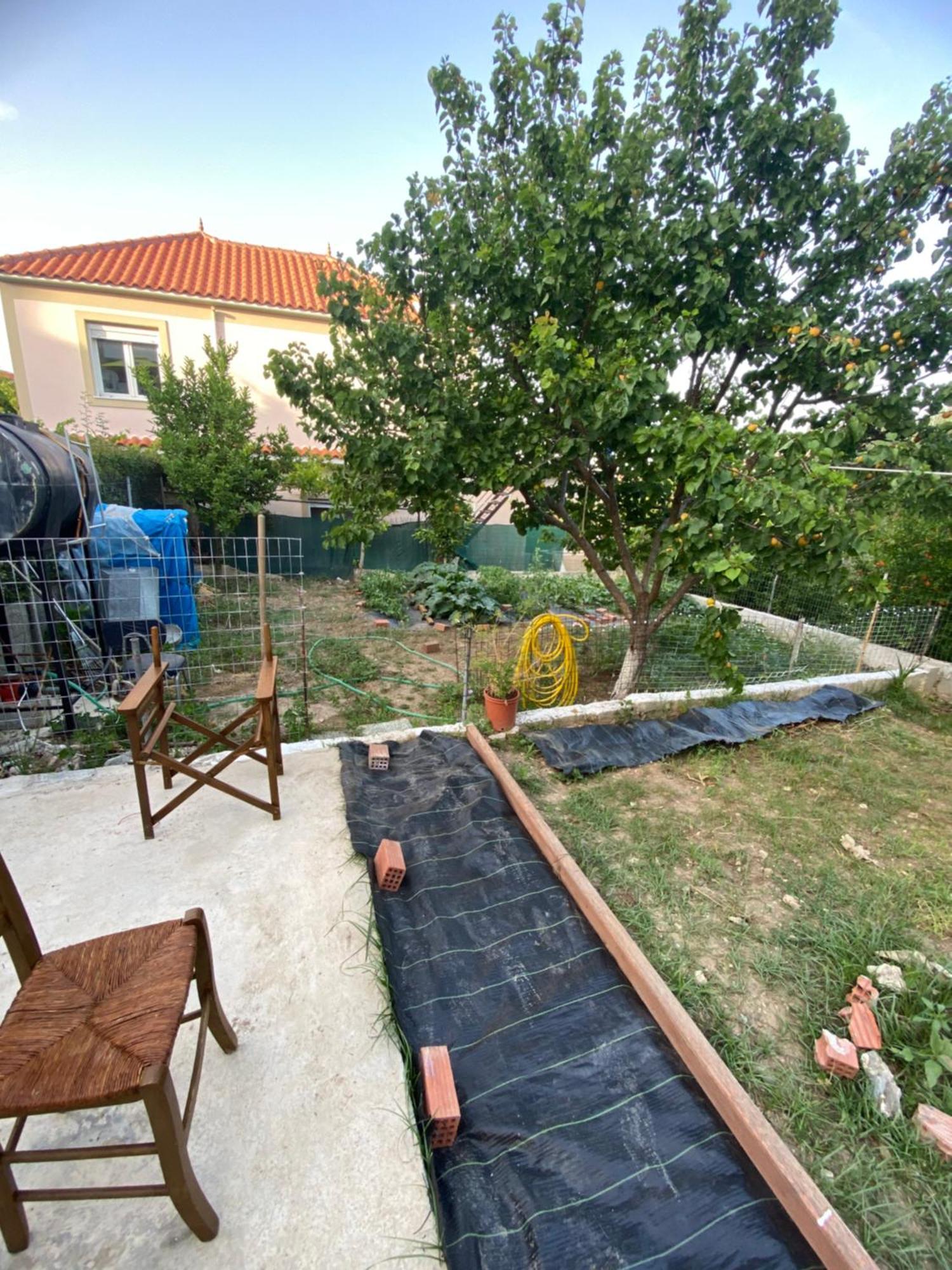 Garden Apartment Mjt Mytilíni Exterior foto